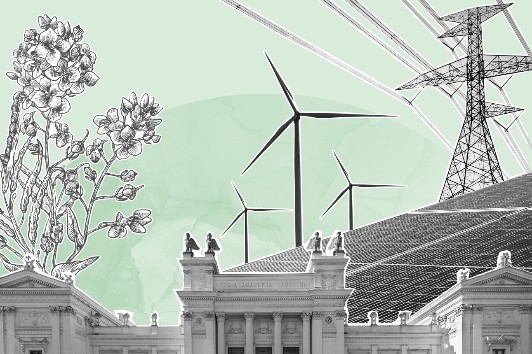 Image collage of power lines, the University building, a rapeseed plant and a wind power plant.