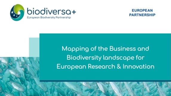 Cover of report from Biodiversa+ on Mapping Business and Biodiversity