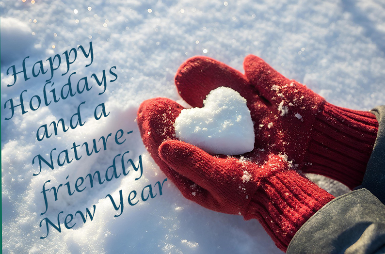 Winter landscape ski track and low sun with greeting Happy holidays