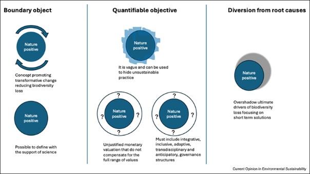 An illustration of circles relating to the term Nature positive