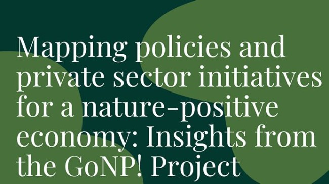 Photo of cover of a report white text on green shapes