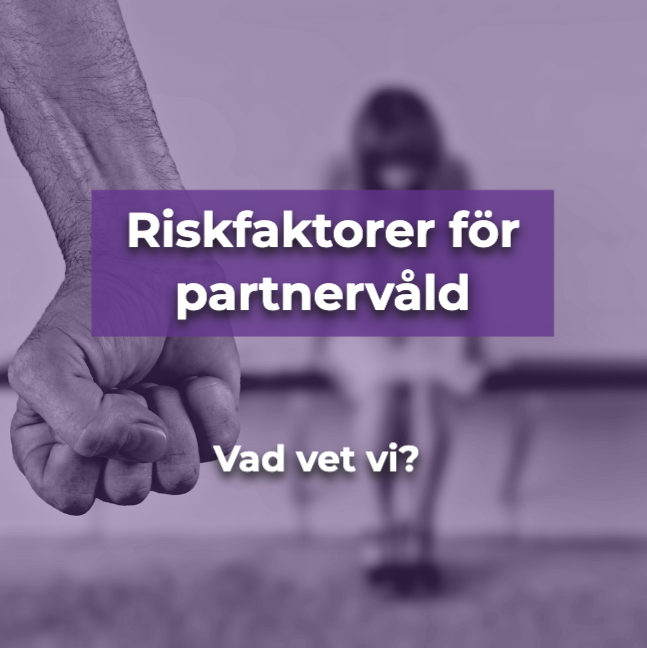 Riskfaktorer för partnervåld